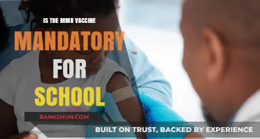 Is the MMR Vaccine Mandatory for School Enrollment?