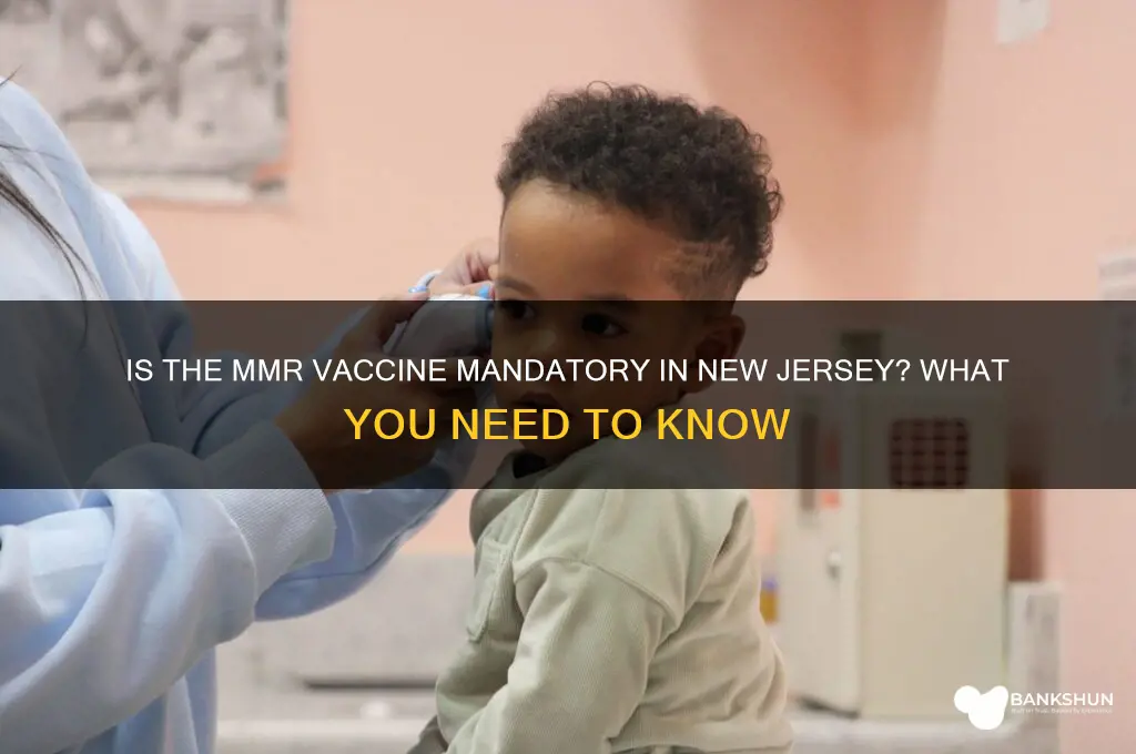 is the mmr vaccine manditory in nj