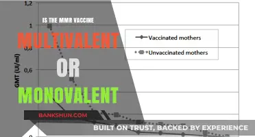 MMR Vaccine: Understanding Its Multivalent Nature and Components