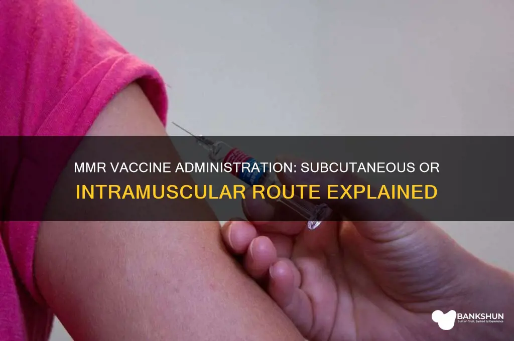 is the mmr vaccine subq or im