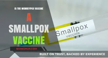 Monkeypox and Smallpox Vaccines: Are They the Same Protection?