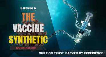 Is mRNA in Vaccines Synthetic? Unraveling the Science Behind the Jab
