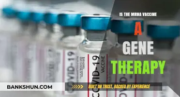 Is the mRNA Vaccine Gene Therapy? Unraveling the Science and Facts
