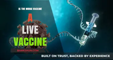 Is the mRNA Vaccine Live? Debunking Myths and Understanding Its Safety