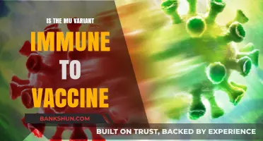 Mu Variant: Vaccine Immunity Concerns and What We Know So Far