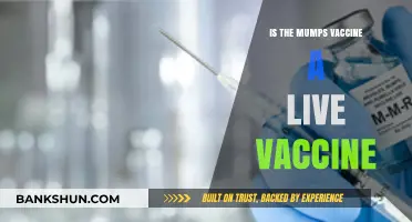 Is the Mumps Vaccine Live? Understanding MMR Immunization Facts