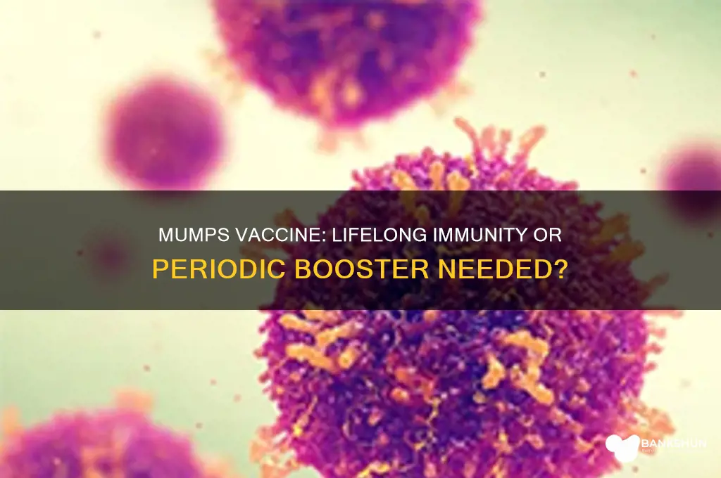 is the mumps vaccine good for life
