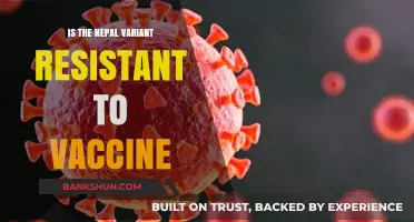 Nepal COVID-19 Variant: Vaccine Resistance Concerns and Facts Explained