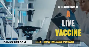 Is the Oxford Vaccine Live? Understanding Its Mechanism and Safety