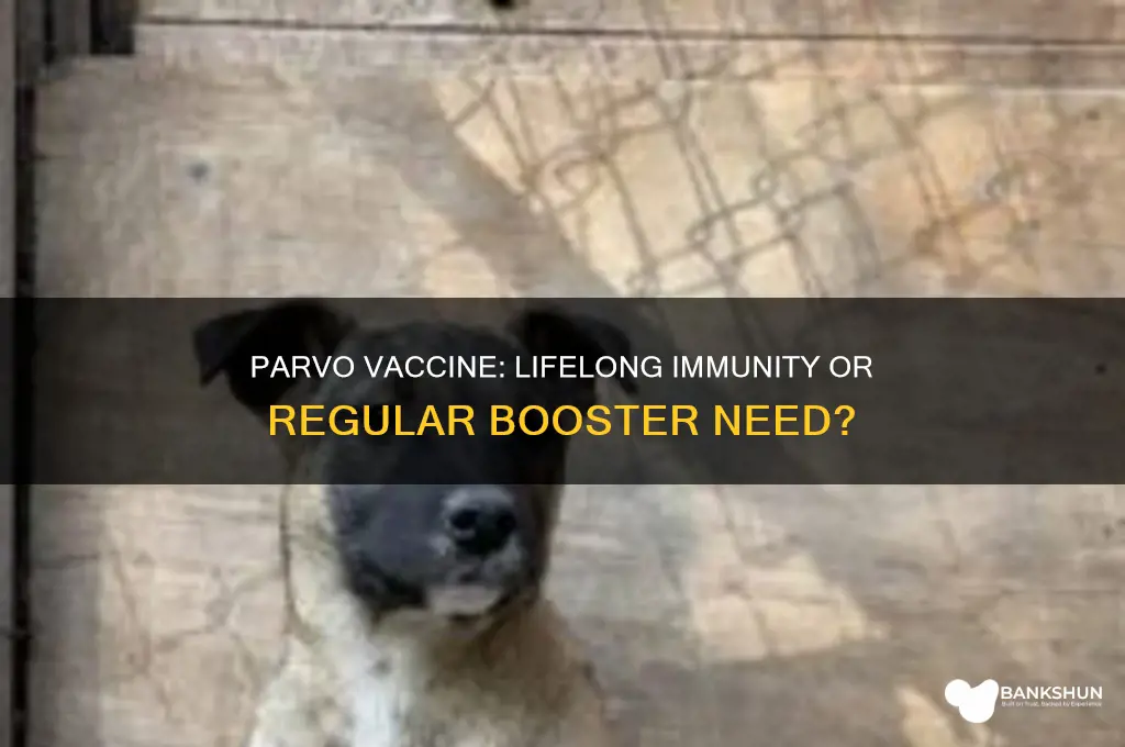 is the parvo vaccin a lifelong immunization