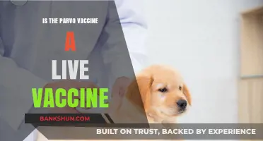 Is the Parvo Vaccine Live? Understanding Canine Parvovirus Immunization