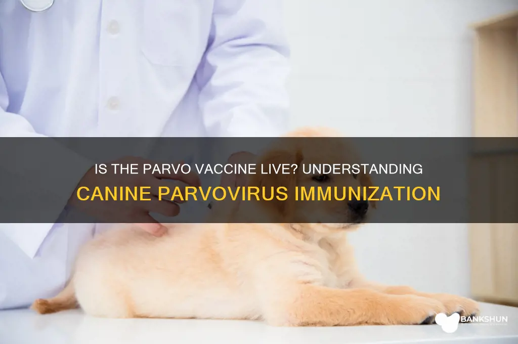 is the parvo vaccine a live vaccine