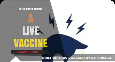 Is PCV13 a Live Vaccine? Understanding Pneumococcal Immunization