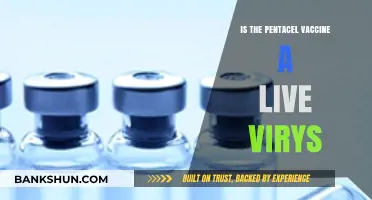 Is Pentacel a Live Virus Vaccine? Facts and Safety Explained