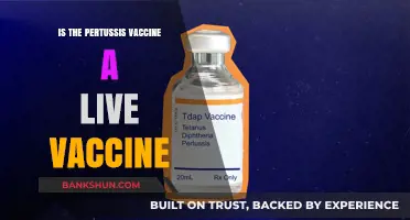 Is the Pertussis Vaccine Live? Understanding Its Composition and Safety