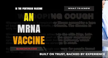 Is Pertussis Vaccine an mRNA Vaccine? Facts and Clarifications