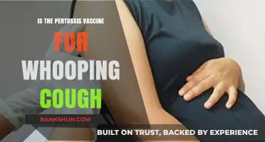 Is the Pertussis Vaccine Effective Against Whooping Cough?