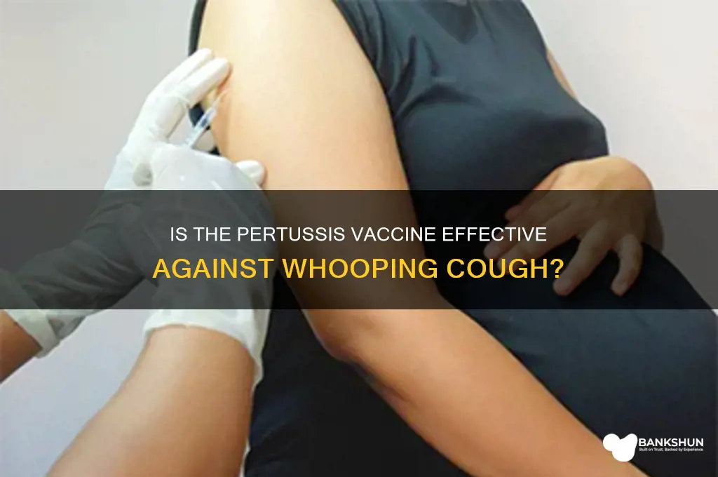is the pertussis vaccine for whooping cough