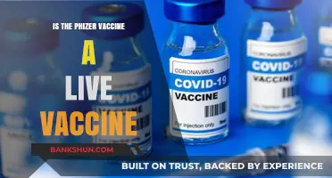 Is the Pfizer Vaccine Live? Understanding Its Technology and Safety