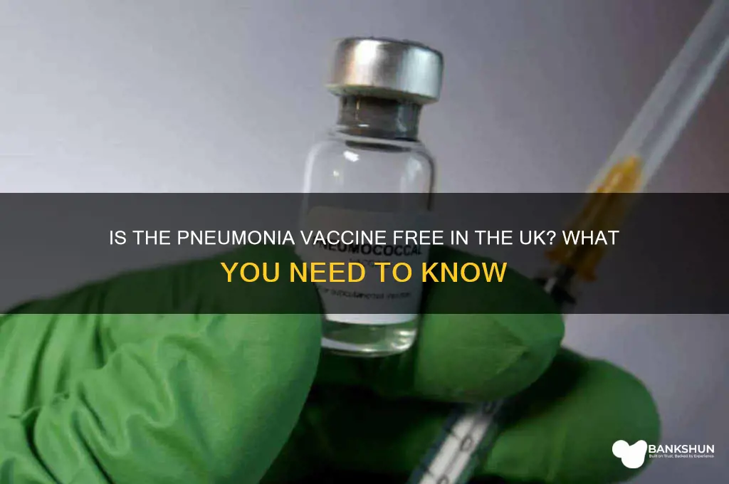 is the pneumonia vaccine free in uk