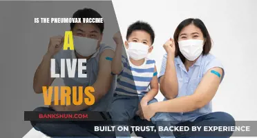 Is Pneumovax a Live Virus Vaccine? Facts and Safety Explained