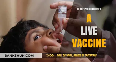 Is the Polio Booster a Live Vaccine? Facts and Insights