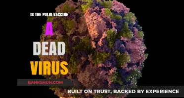 Is the Polio Vaccine a Dead Virus? Understanding Its Safety and Effectiveness