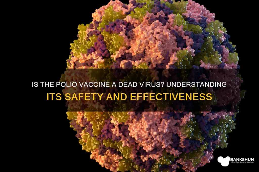 is the polio vaccine a dead virus