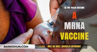 Is the Polio Vaccine an mRNA Vaccine? Unraveling the Truth