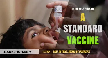 Is the Polio Vaccine a Standard Immunization Today?