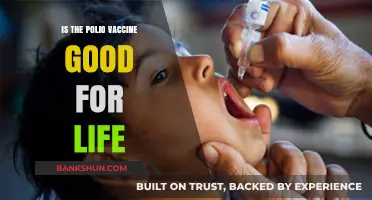 Polio Vaccine Lifelong Immunity: What You Need to Know