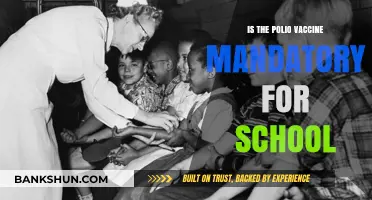 Polio Vaccine Mandate: Is It Required for School Enrollment?