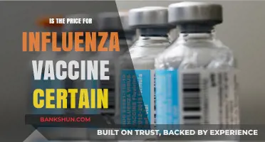 Is the Influenza Vaccine Price Fixed? Exploring Cost Variability and Factors