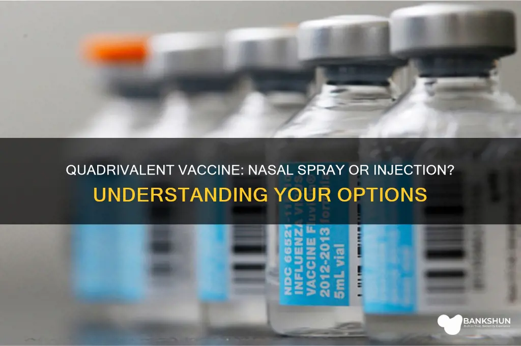 is the quadrivalent vaccine a nasal spray