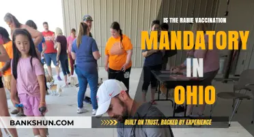 Is Rabies Vaccination Mandatory in Ohio? Legal Requirements Explained