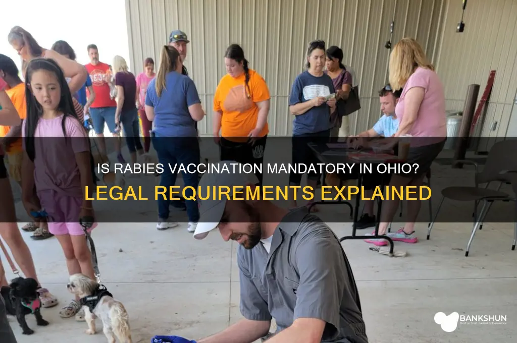 is the rabie vaccination mandatory in ohio