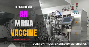 Rabies Shot vs. mRNA Vaccines: Understanding the Key Differences