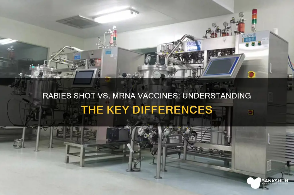 is the rabies shot an mrna vaccine