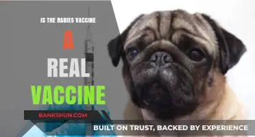 Is the Rabies Vaccine Legitimate? Debunking Myths and Facts
