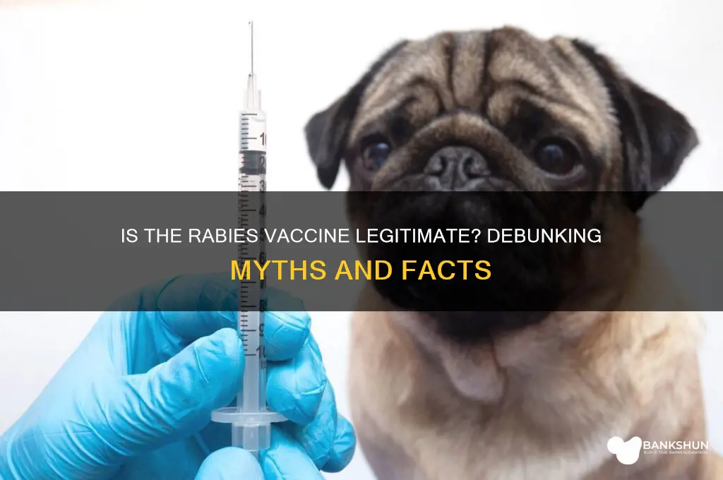 is the rabies vaccine a real vaccine