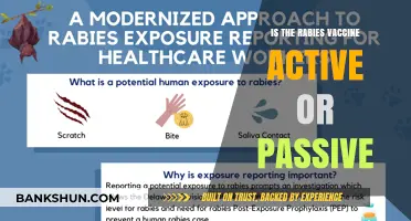 Active vs. Passive: Understanding the Rabies Vaccine Mechanism