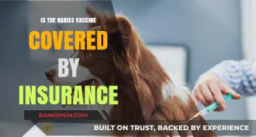 Rabies Vaccine Coverage: What Your Insurance Policy May Include