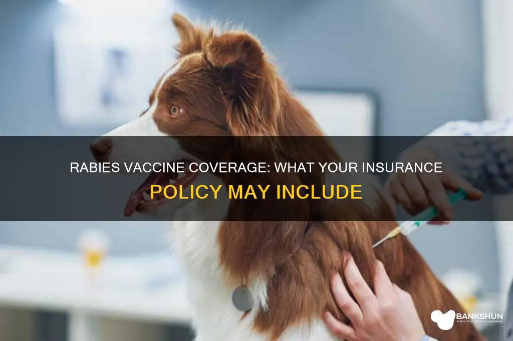 is the rabies vaccine covered by insurance