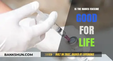 Is the Rabies Vaccine a Lifelong Shield? Facts and Myths