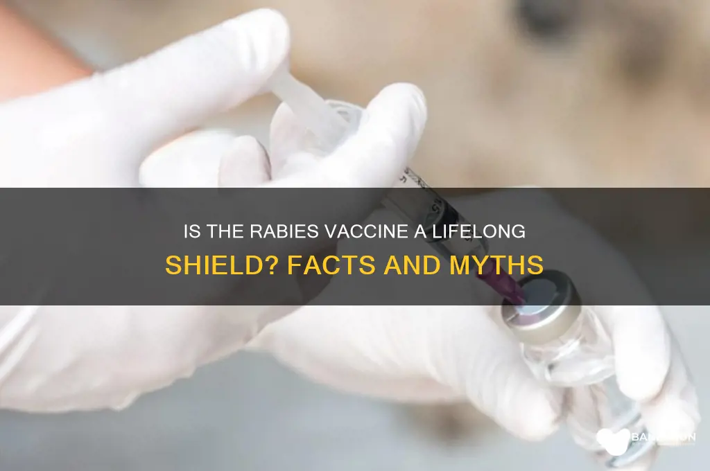 is the rabies vaccine good for life