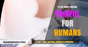 Does the Rabies Vaccine Hurt? Understanding Human Vaccination Pain