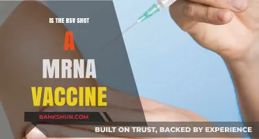 Is the RSV Shot an mRNA Vaccine? Facts and Insights