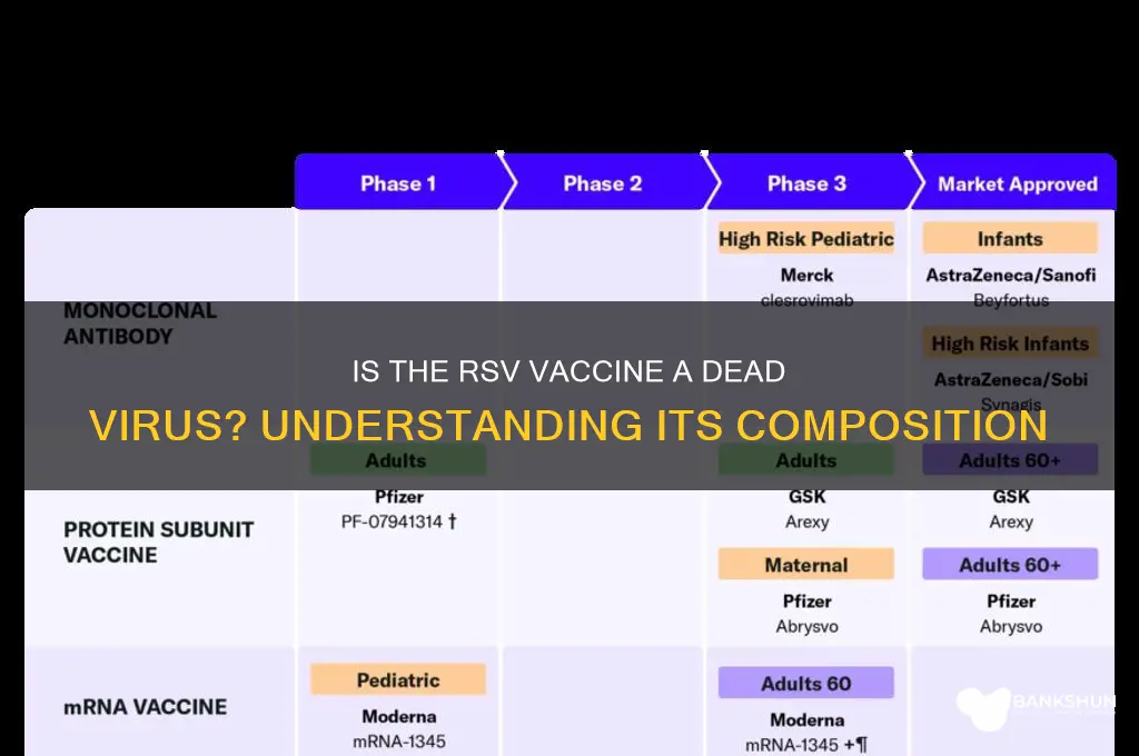 is the rsv vaccine a dead virus