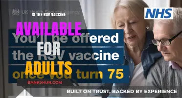 RSV Vaccine for Adults: Availability, Benefits, and What You Need to Know
