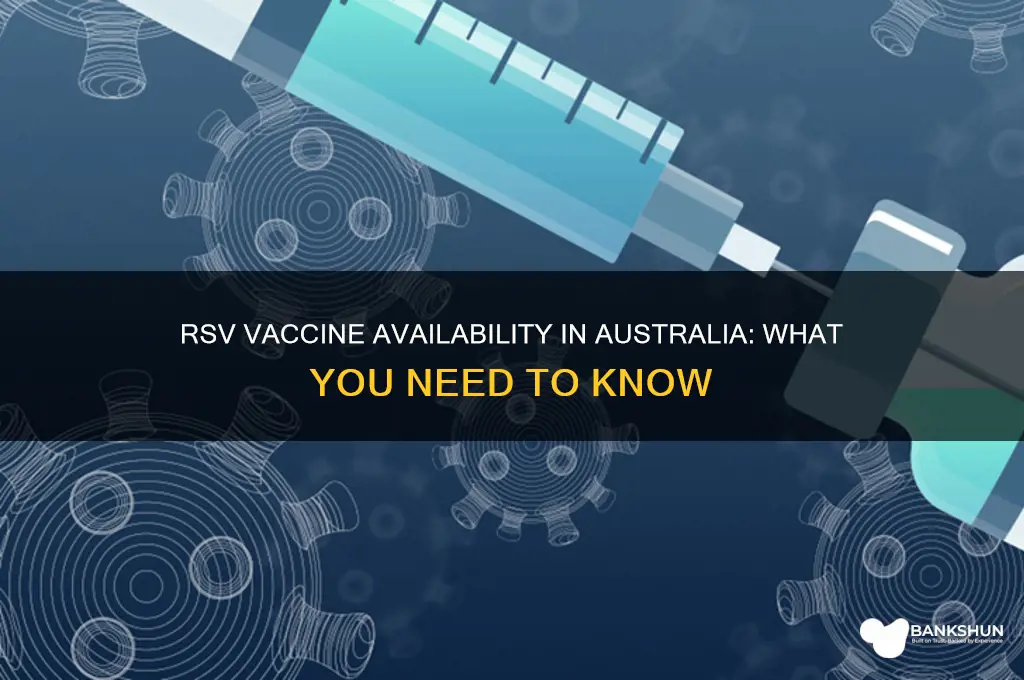 is the rsv vaccine available in australia